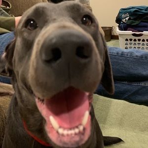 Meet your Posher, Addaddie